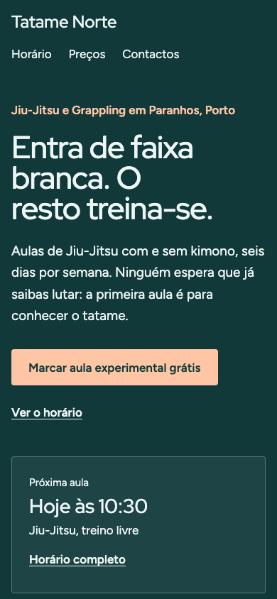 Página inicial do tema Brisa no telemóvel (site de demonstração)
