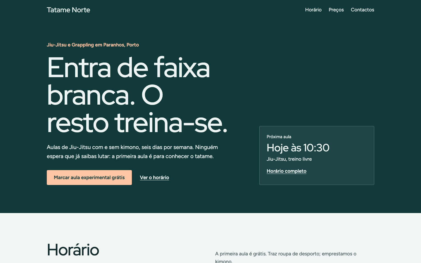 Página inicial do tema Brisa no computador (site de demonstração)